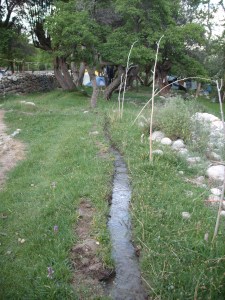 Some of the incredible irragation networks in Ladakh, Nubra Valley