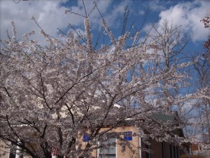 Neptune can be vast like the sky