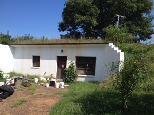 A farmer's house under a grass rooftop