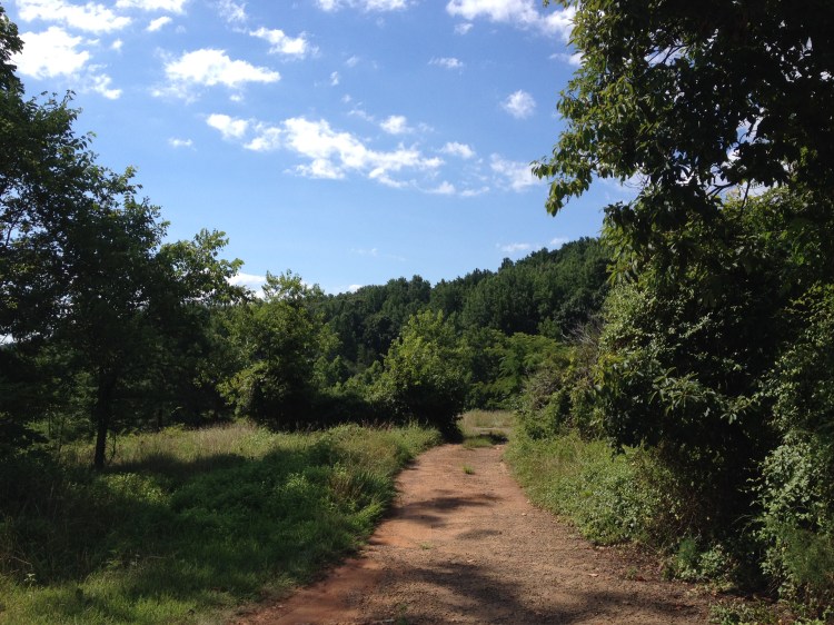 view from the driveway of a country farm